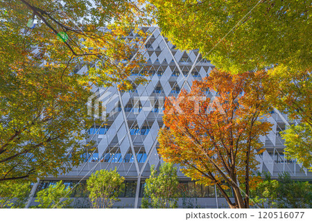 中野區役所新大樓預計2024年完工 120516077