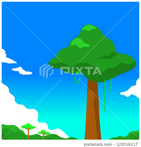 Rainforest 120516117