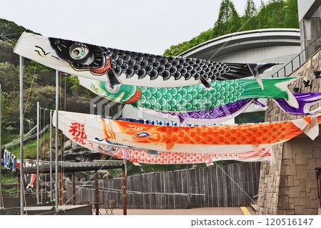 Colorful carp streamers displayed in the park Colorful carp streamers displayed in the park 120516147