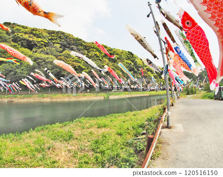Scenery of Shikawa carp streamers swimming in Kokuraminami-ku, Kitakyushu Scenery of Shikawa carp streamers swimming in Kokuraminami-ku, Kitakyushu 120516150
