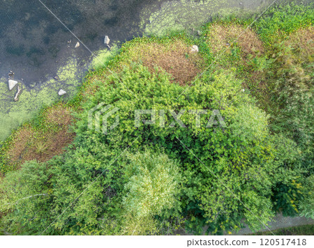 Aerial view of lake or river green shore with forest. Summer season. Aerial view of lake or river green shore with forest. Summer season. 120517418