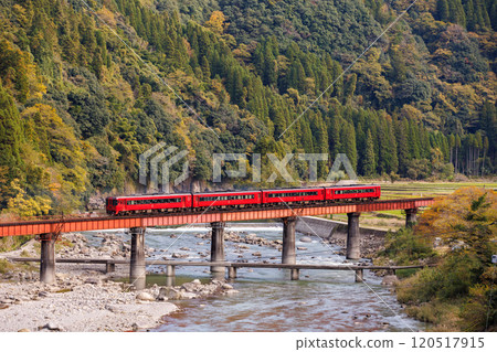 JR Kiha 185 series express train "Yufu" crossing the autumn leaves of the Kusu River JR Kiha 185 series express train "Yufu" crossing the autumn leaves of the Kusu River 120517915