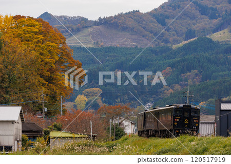 可以欣賞由布高原風景的特快列車“關八一六” 120517919