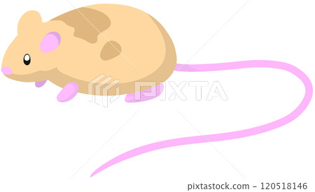 雅瓦格鼠 120518146