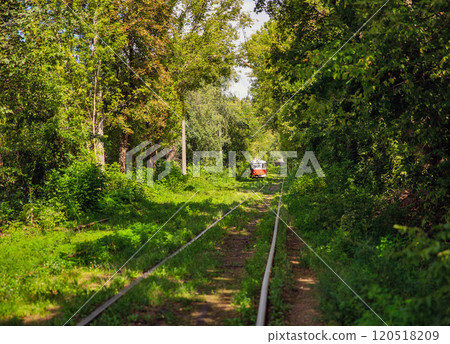 Long tram tracks running through the forest. Long tram tracks running through the forest. 120518209
