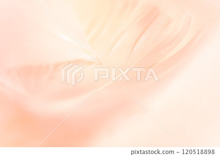 Feathers and fluffy background material Feathers and fluffy background material 120518898