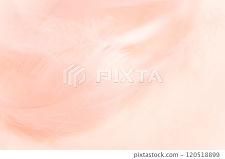 羽毛/蓬鬆背景材料 羽毛/蓬鬆背景材料 120518899
