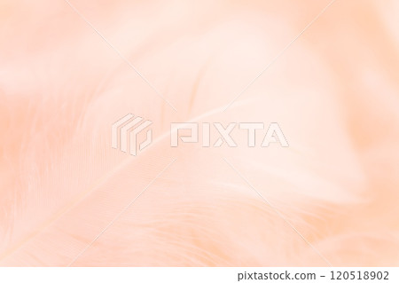 羽毛/蓬鬆背景材料 120518902