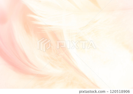 Feathers and fluffy background material Feathers and fluffy background material 120518906