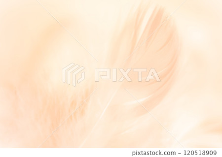 羽毛/蓬鬆背景材料 羽毛/蓬鬆背景材料 120518909