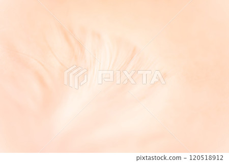 羽毛/蓬鬆背景材料 120518912