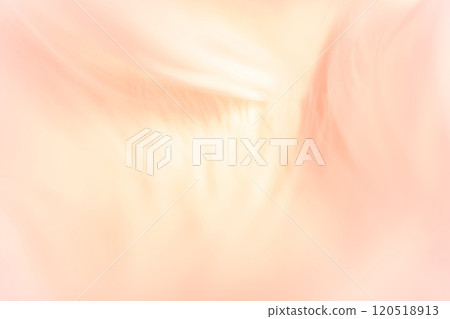 Feathers and fluffy background material Feathers and fluffy background material 120518913