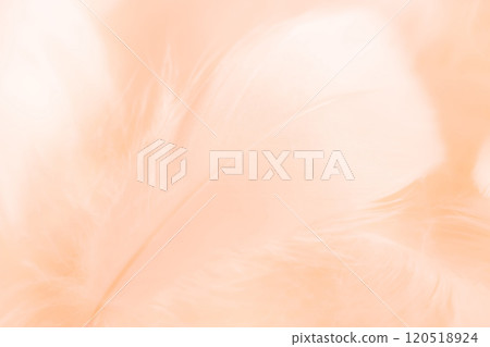 Feathers and fluffy background material 120518924