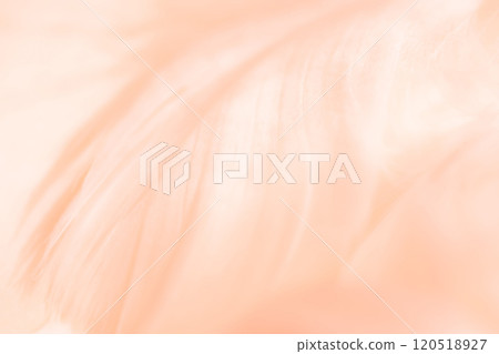 羽毛/蓬鬆背景材料 120518927