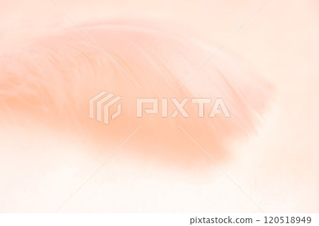 Feathers and fluffy background material Feathers and fluffy background material 120518949