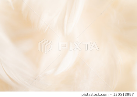 Feathers and fluffy background material Feathers and fluffy background material 120518997