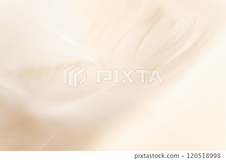 羽毛/蓬鬆背景材料 120518998