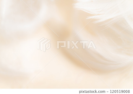 羽毛/蓬鬆背景材料 120519008