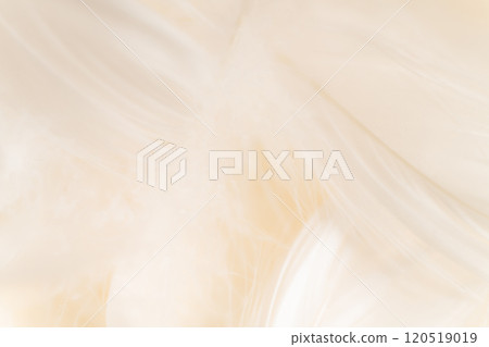 羽毛/蓬鬆背景材料 120519019