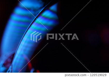 Bright blue structure on black background, oil stains movement, bright chemistry, surreal background Bright blue structure on black background, oil stains movement, bright chemistry, surreal background 120519029