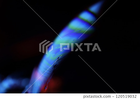 Bright blue structure on black background, oil stains movement, bright chemistry, surreal background Bright blue structure on black background, oil stains movement, bright chemistry, surreal background 120519032