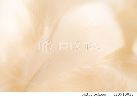 羽毛/蓬鬆背景材料 120519033