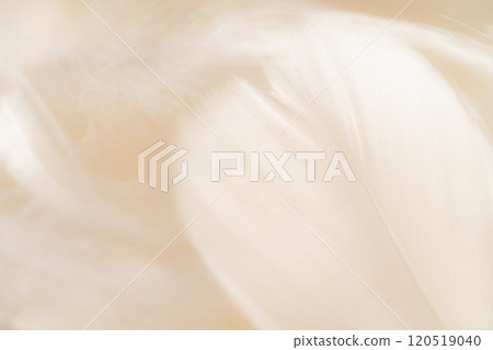 羽毛/蓬鬆背景材料 120519040