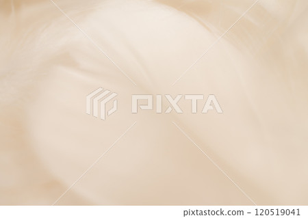 Feathers and fluffy background material Feathers and fluffy background material 120519041