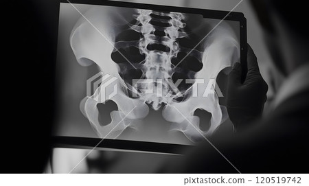 skeleton, bone, anatomy 120519742