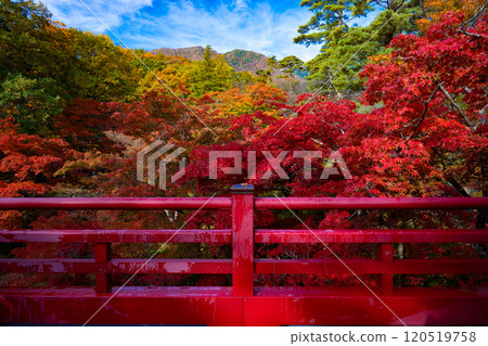 Niigata Yahiko Park Momiji Valley in autumn Niigata Yahiko Park Momiji Valley in autumn 120519758
