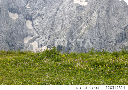 Stunning Dolomites Stunning Dolomites 120519824