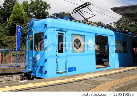 Happy Train 120519880