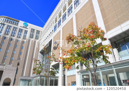 秋天的札幌車站南口 120520458