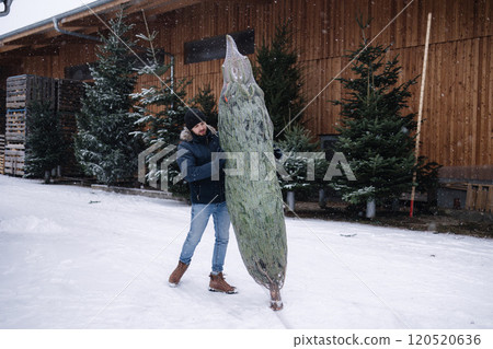 Young man stand by Christmas tree. Big tree for big family. Happy winter holidays Young man stand by Christmas tree. Big tree for big family. Happy winter holidays 120520636