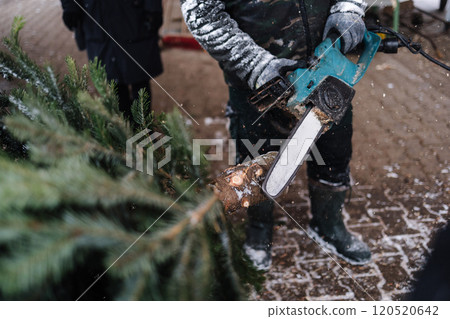 Man cuts a part of the trunk from a Christmas tree with a chainsaw Man cuts a part of the trunk from a Christmas tree with a chainsaw 120520642