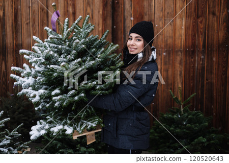 Beautiful woman hold little snowy Christmas tree. Female choose fir tree for holidays. Christmas mood Beautiful woman hold little snowy Christmas tree. Female choose fir tree for holidays. Christmas mood 120520643