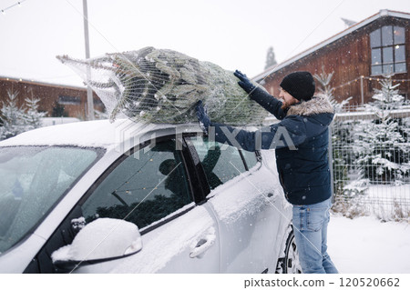 Handsome man tying to put a Christmas tree to the roof of the car to bring it home. Live fir tree delivery Handsome man tying to put a Christmas tree to the roof of the car to bring it home. Live fir tree delivery 120520662