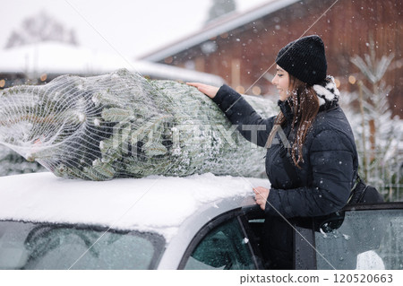 Beautiful woman tying to put a Christmas tree to the roof of the car to bring it home. Live fir tree devilery Beautiful woman tying to put a Christmas tree to the roof of the car to bring it home. Live fir tree devilery 120520663