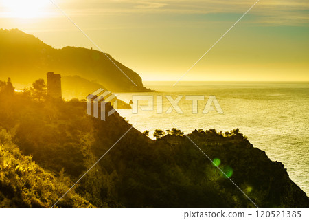 Spanish coast with Pine Tower, Andalusia. 120521385