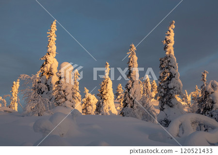 Winter landscape with snow covered trees and mountians. 120521433