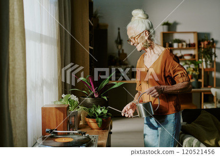 Elderly woman watering plants next to window while listening to music in cozy living room. Capturing serene moment filled with greenery and decor elements Elderly woman watering plants next to window while listening to music in cozy living room. Capturing serene moment filled with greenery and decor elements 120521456