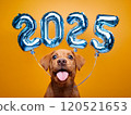 A joyful and exciting moment with a 2025 New Year celebration cake, with the candles shaped like the number 2025 lit upA cute puppy celebrating the 2025 New Year party, happily smiling with 2025 120521653