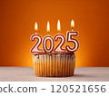 A joyful and exciting moment with a 2025 New Year celebration cake, with the candles shaped like the number 2025 lit up 120521656