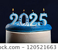 A cake symbolizing the Year of the Blue Snake, 2025, with the candles shaped like the number 2025 lit up 120521663