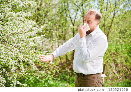 Man allergic suffering from seasonal allergy at spring in blossoming garden at springtime. Young man sneezing and blowing nose with nasal handkerchief in front of blooming tree. Spring allergy concept Man allergic suffering from seasonal allergy at spring in blossoming garden at springtime. Young man sneezing and blowing nose with nasal handkerchief in front of blooming tree. Spring allergy concept 120521926