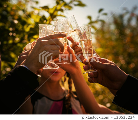 Tray of colorful glasses filled with wine celebration couple wine, alcohol Tray of colorful glasses filled with wine celebration couple wine, alcohol 120523224