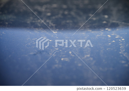Pollen on the hood of a car 120523639