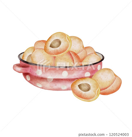 Cute ripe whole and slice apricot with pit in red pot on white. Watercolor illustration in kids style for textile, decoration dishes, labels for juice, jam, children parties, birthday. 120524003