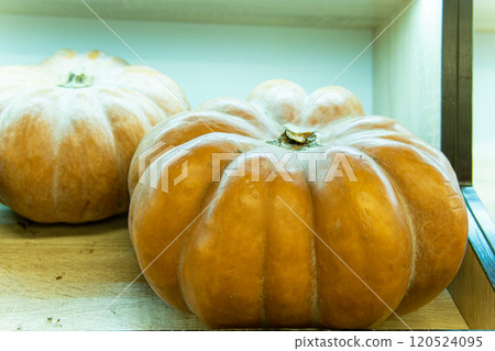 decoration food harvest halloween october holiday farm agriculture market orange decoration food harvest halloween october holiday farm agriculture market orange 120524095