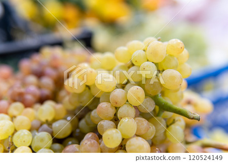 market food healthy harvest organic fresh nutrition green agriculture juicy nature grape fruit market food healthy harvest organic fresh nutrition green agriculture juicy nature grape fruit 120524149